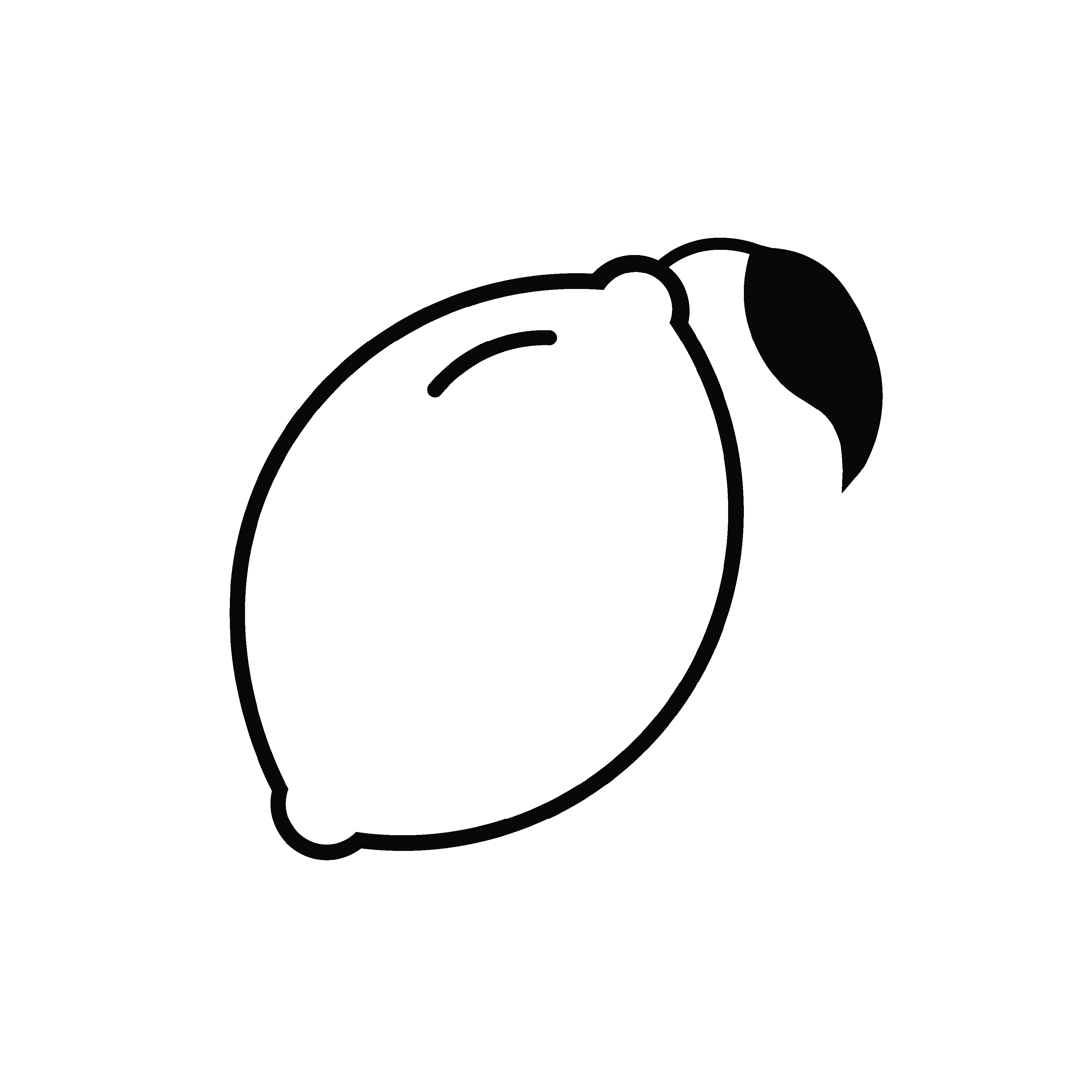 Portfolio image 2